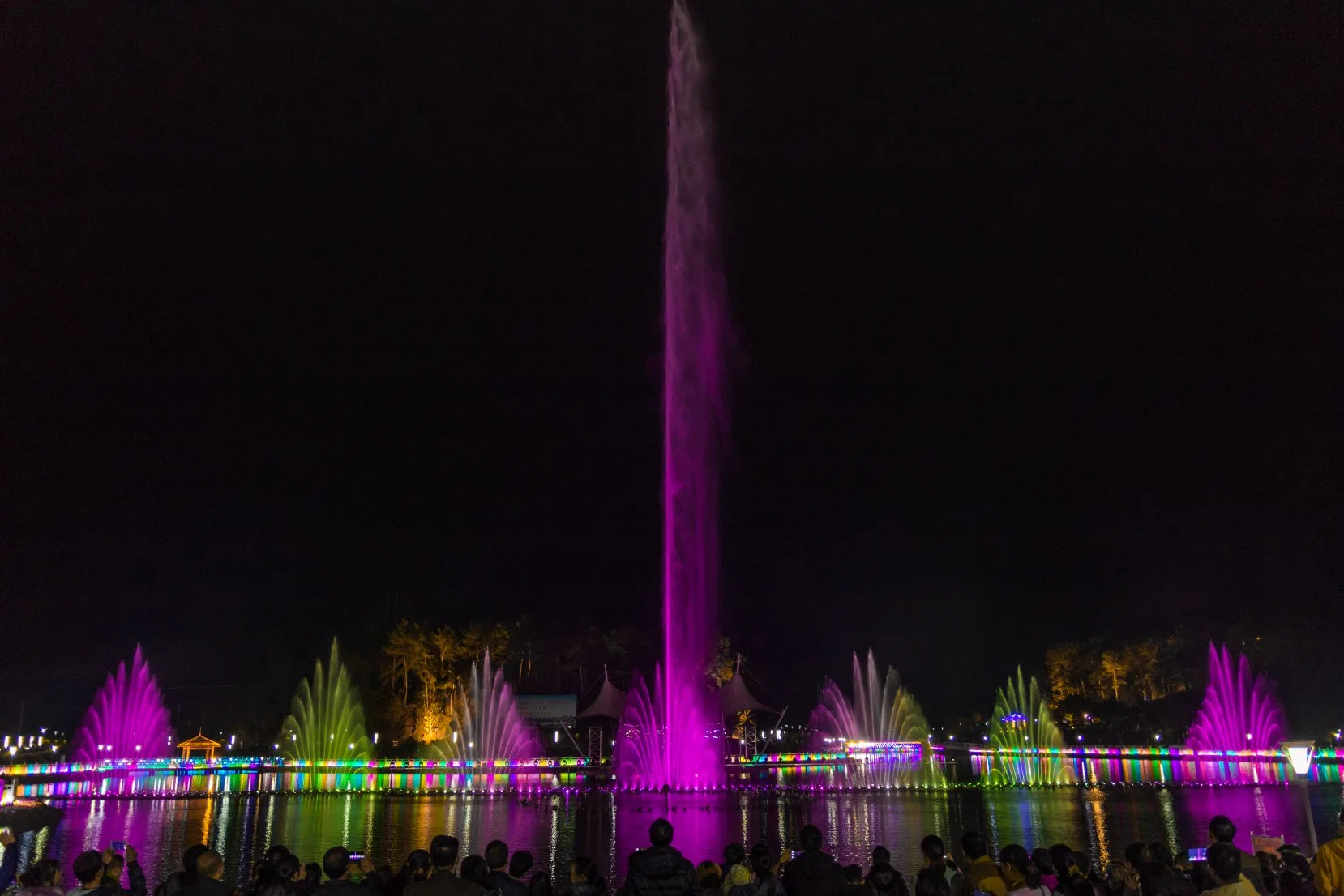 Musical Dancing Light Show Water Fountain for Garden