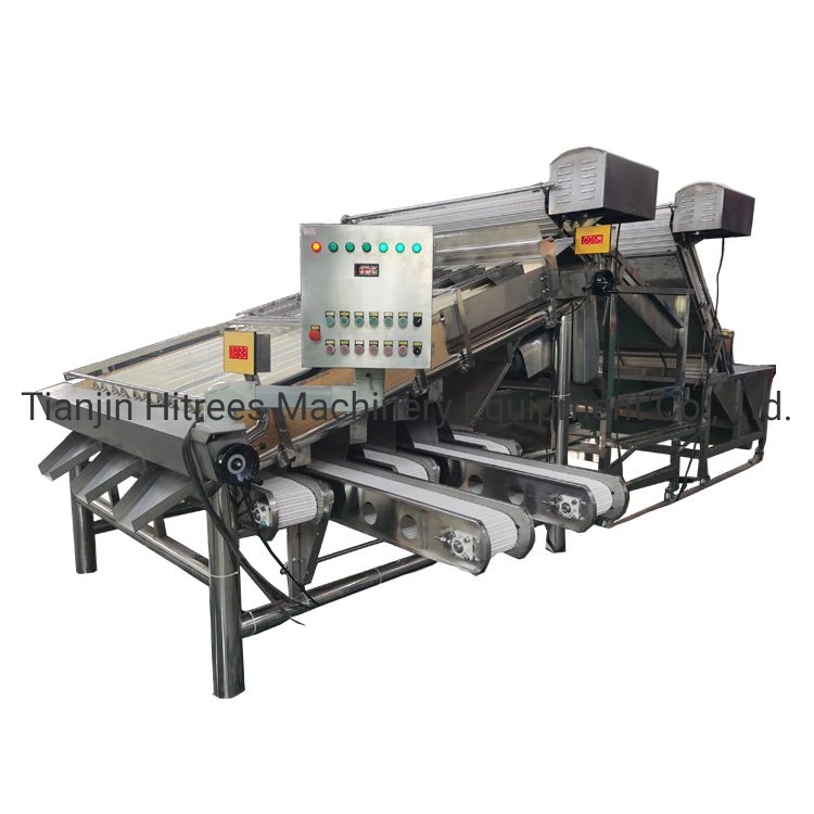 1000kg/H Stainless Steel Shrimp Sorting Machine Grading Machine