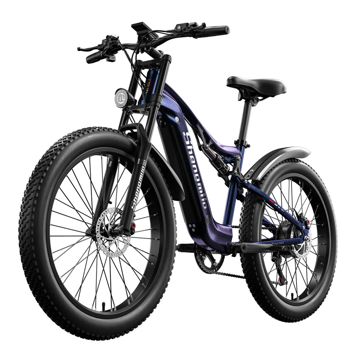 15ah Long Rang Fat Tire Ebike Electric Dirt Bike