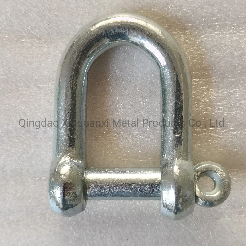 Factory Direct Supply Marine Lifting JIS Type D Shackle Galvanized or Stainless Steel EU Type Dee Shackle