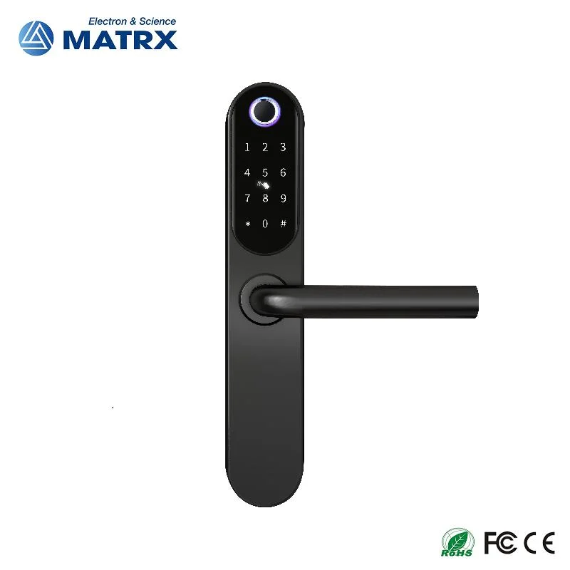 2023 304 Stainless Steel Smart Door Lock with Tuya APP