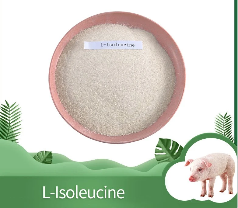 L-Isoleucine Feed Grade for Poultry