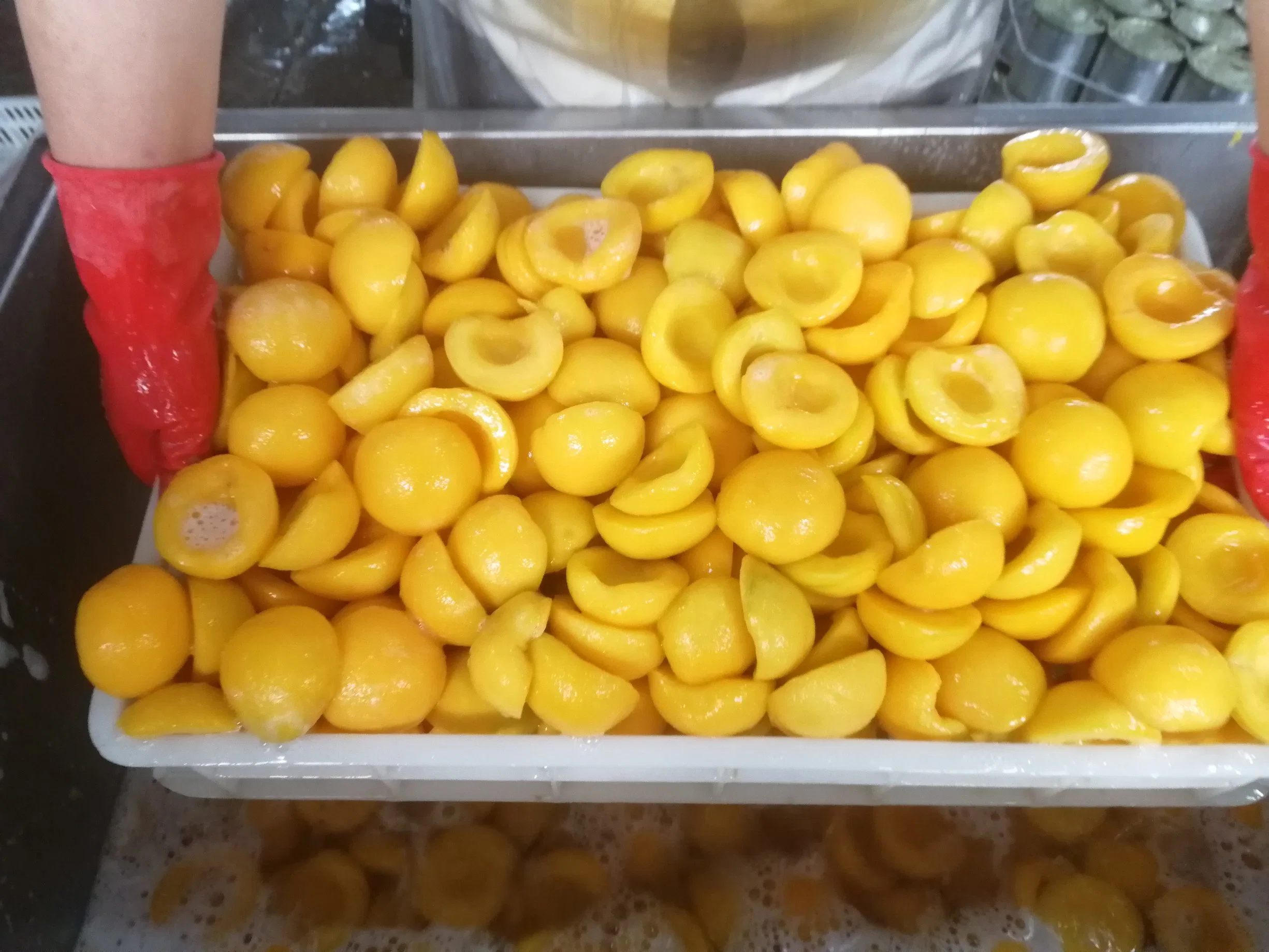 Conserves de fruits en conserve les moitiés de pêche jaune dans le Lieutenant de sirop dans de qualité supérieure