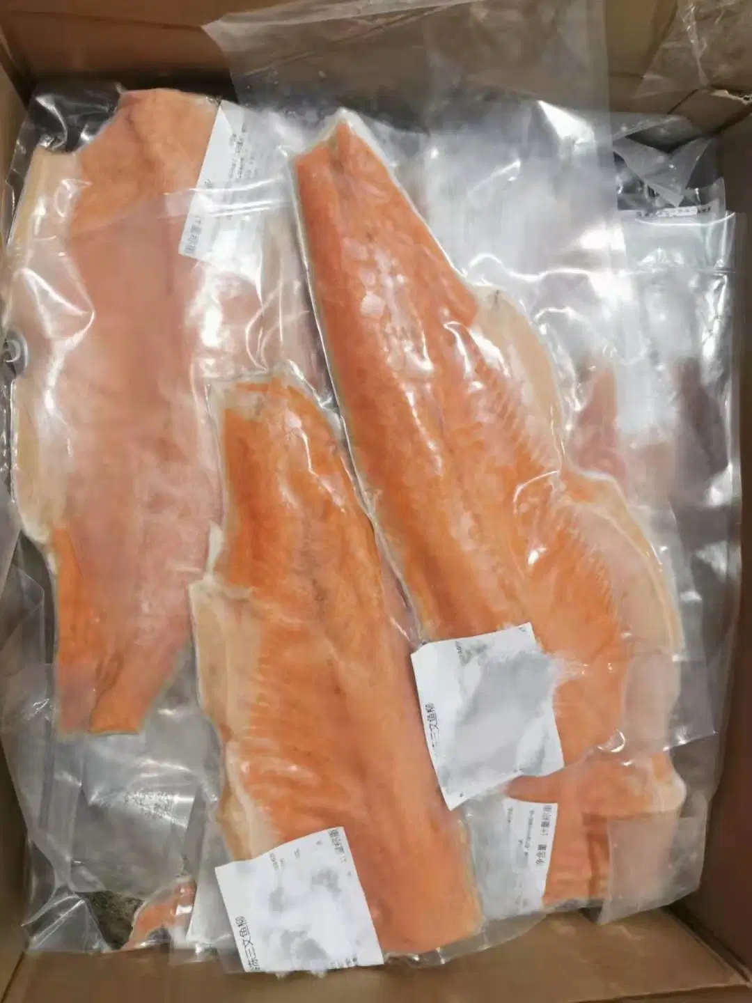 Frozen China Trout Salmon Fillet