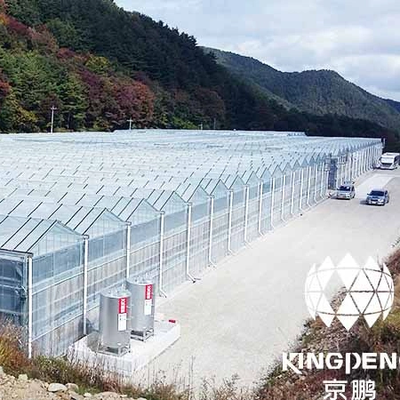 Solid Polycarbonate Clear Greenhouse with Sliding/Flat Door