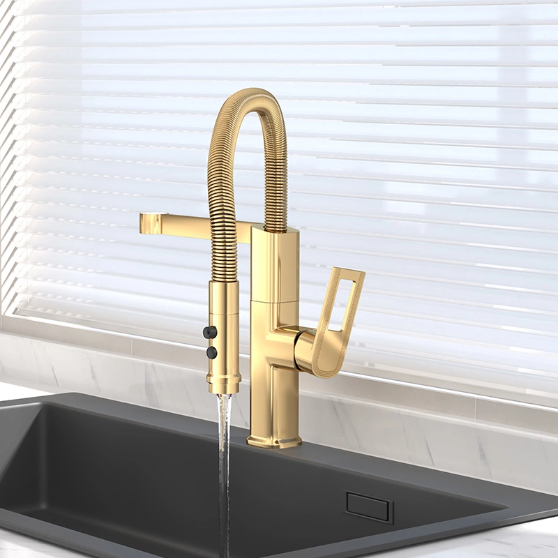 Cold and Hot Universal Rotating Spring Kitchen Faucet