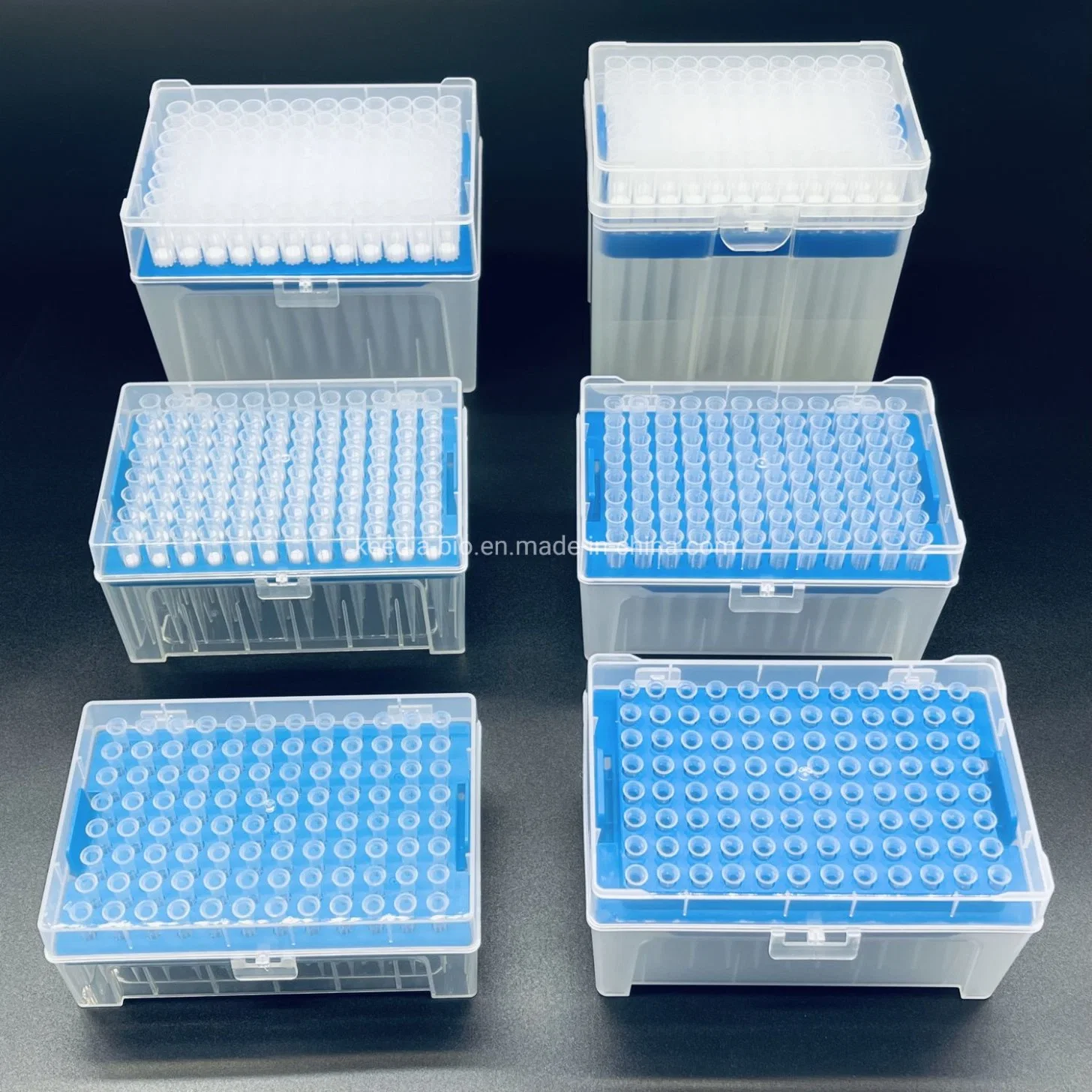 China Lab Disposable Plastic Filtered 10UL Sterilized Micro Pipette Tips Rack Box