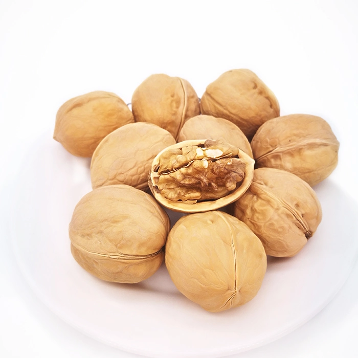 Competitive Price Easy Cracked Walnut Inshell 185 From China