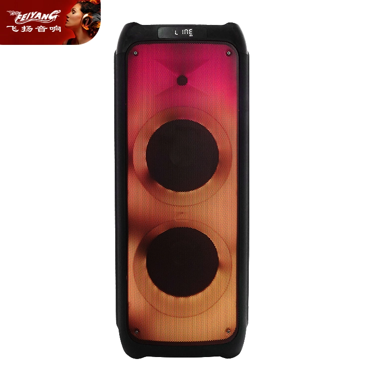 Professional Tws Double 10inch Big Power Recharged Bluetooth Loudspeaker