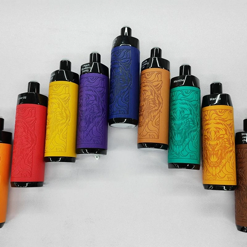 OEM Wholesale/Supplier Sub Ohm mesh Coil Big Smoke Vape Pen Type C rechargeable jetable Vape Deluxe Leather Bar E-cigarette 5000 6000 9000 10000 bouffées de 10 000