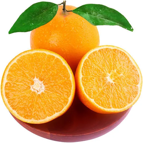 Hot Sale Fresh Mandarin and Oranges for Export