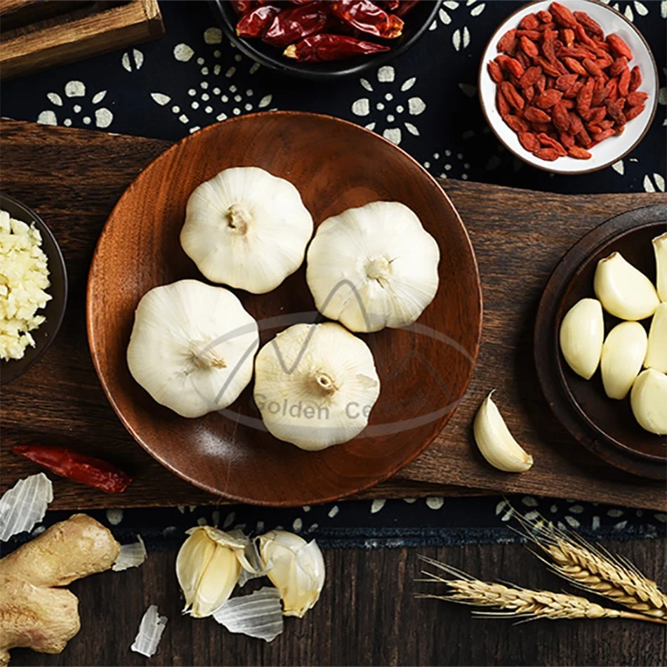 Ajo chino fresco puro ajo blanco para verduras frescas al por mayor Precio de fábrica