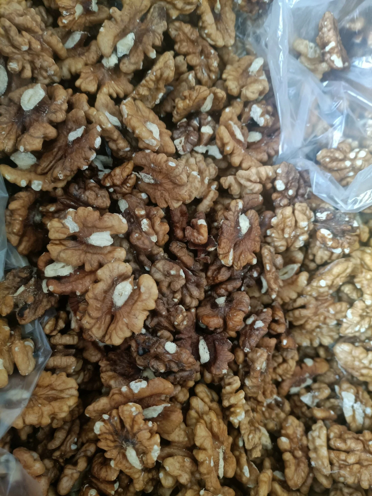 Factory Wholesale/Supplier Half Xinjiang Walnut Kernel