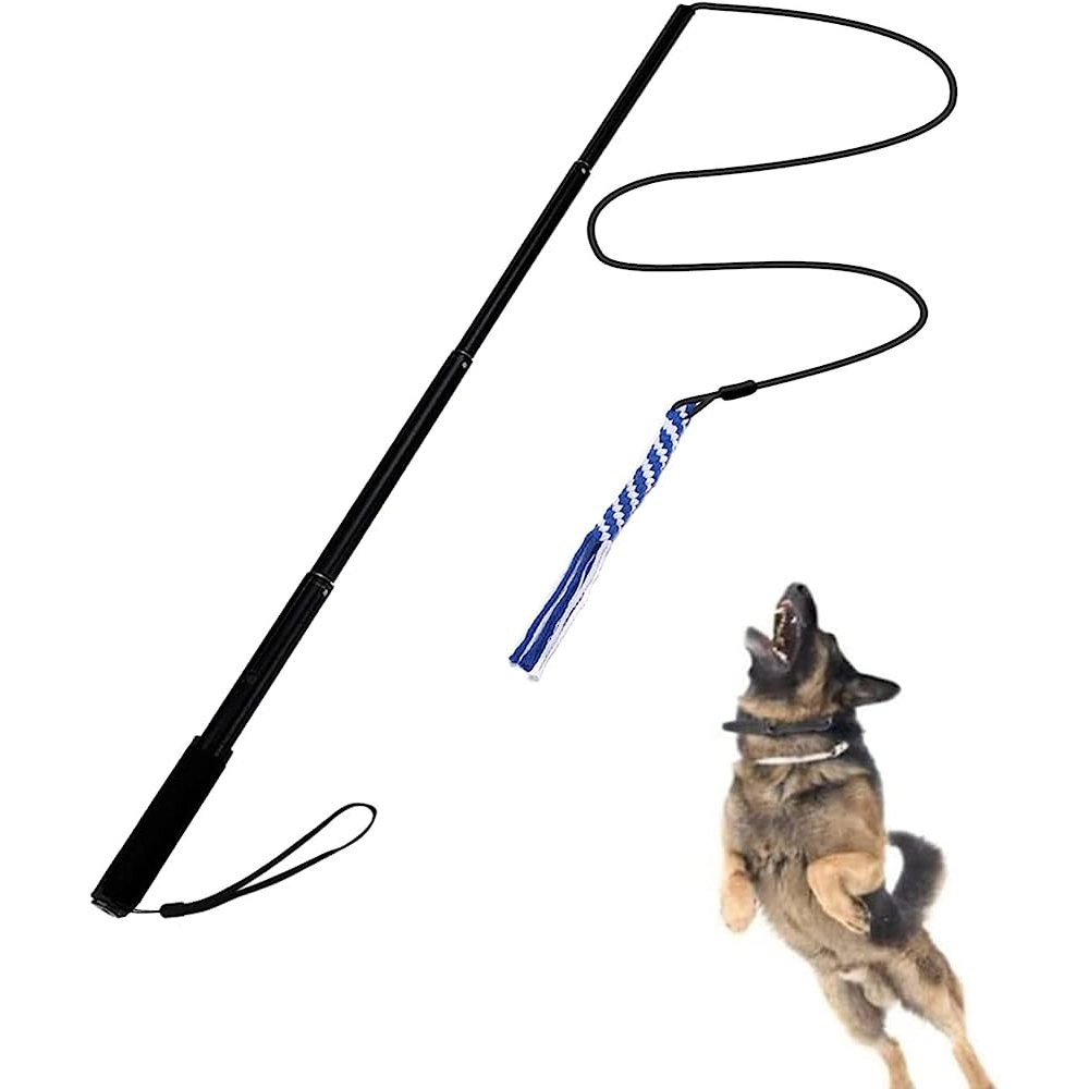 Wholesale/Supplier Outdoors Extendable Interactive Dog Chewing Flirt Poles