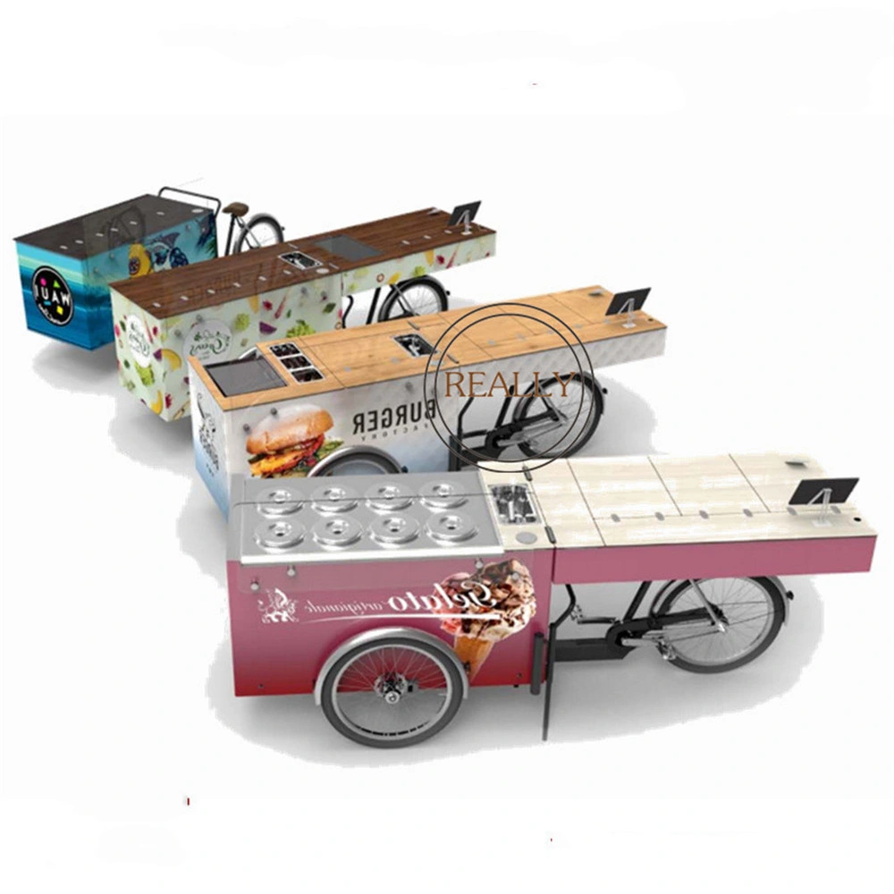 350W Electric Bicycle Pedal Spinning Bike Foldable Cabinet Food Vending Cart Electric Tricycle Cargo Bike