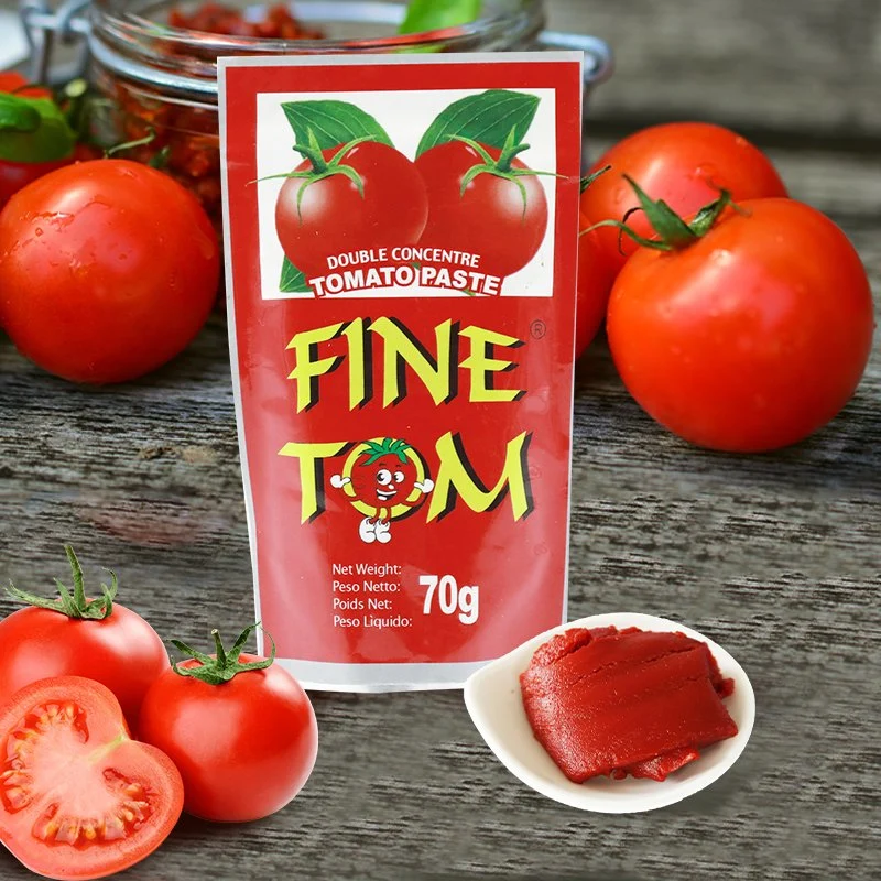 70g Al Mudhish Tomato Paste Sachet with Best Price