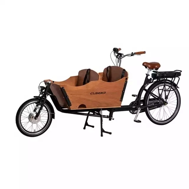 Two Wheel Electric Cargo Bike Used for Adult Family