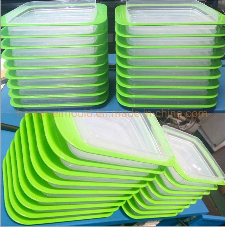 Plastic Mold for Fresh Box Two Color Injection Mold Transparent Container One Time Molding High Precision Daily Necessities Household Mould Manufacturing