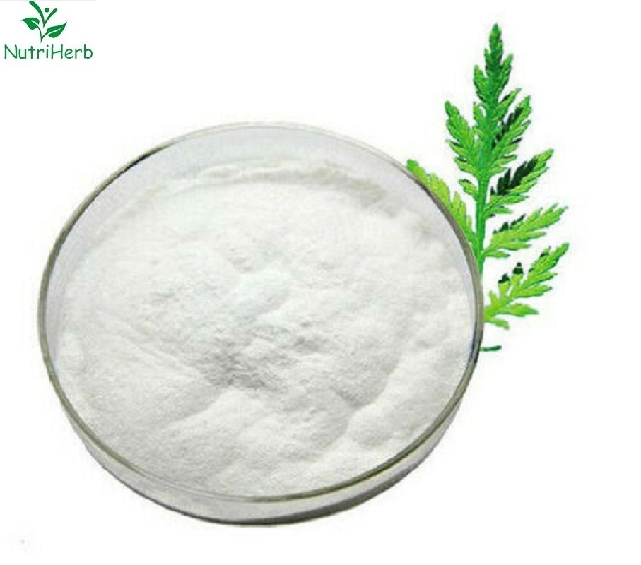 Hot Seeling Artemisia Annua Extract Artemisinin Powder