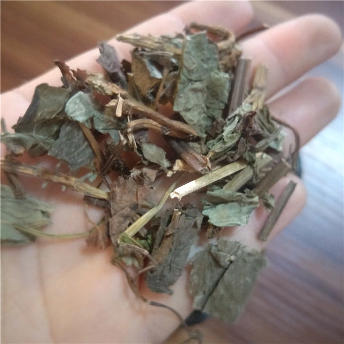 Yu Xing Cao Medicina Herbal Tradicional China Hierba Seca de Houttuyniae Herba