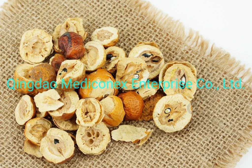 Melia Toosenda Fruit Prepared Herbal Raw Materials Prepared Traditional Chinese Herbal Medicine Plant Botanical Herb Regulate Qi