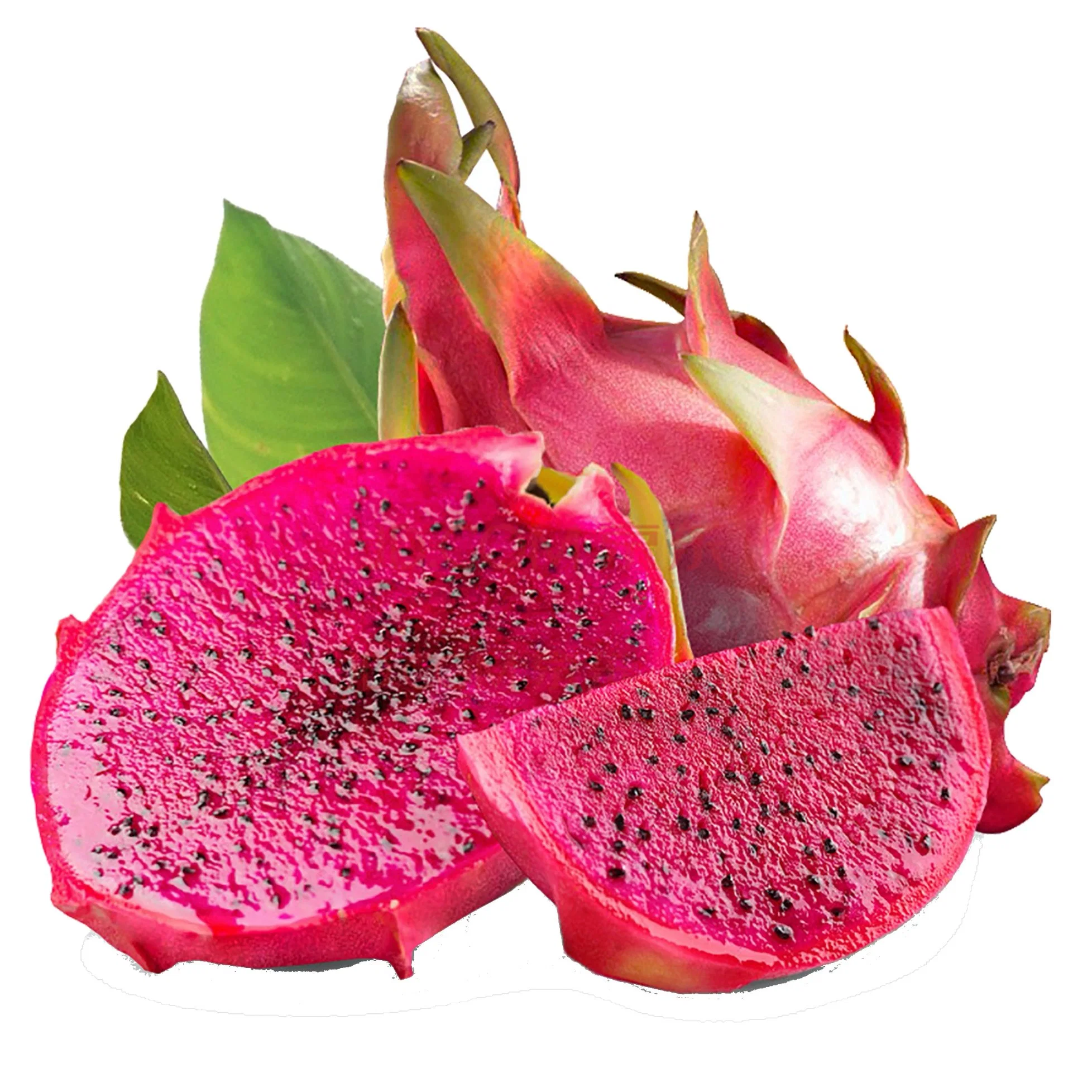 Factory Supply Freeze-Dried Red Dragon Fruit Slice Dried Pitaya Slices