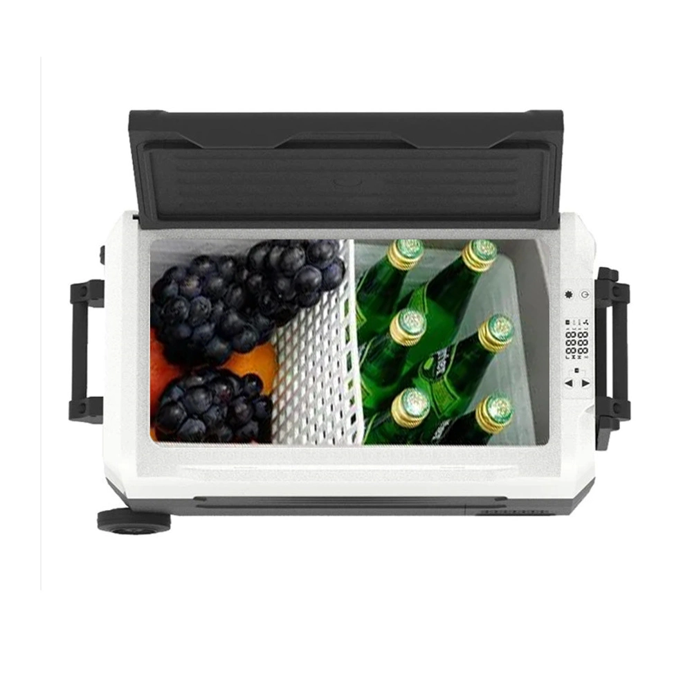 Car Refrigerator Portable Hard Coolers 35L Outdoor Dual Temperature Cooler Warmer Box Retro Mini Car Fridge