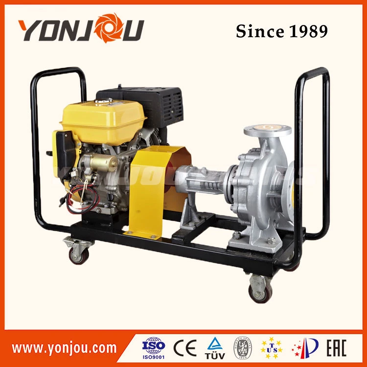 Air Cooled Hot Oil Transfer Pump