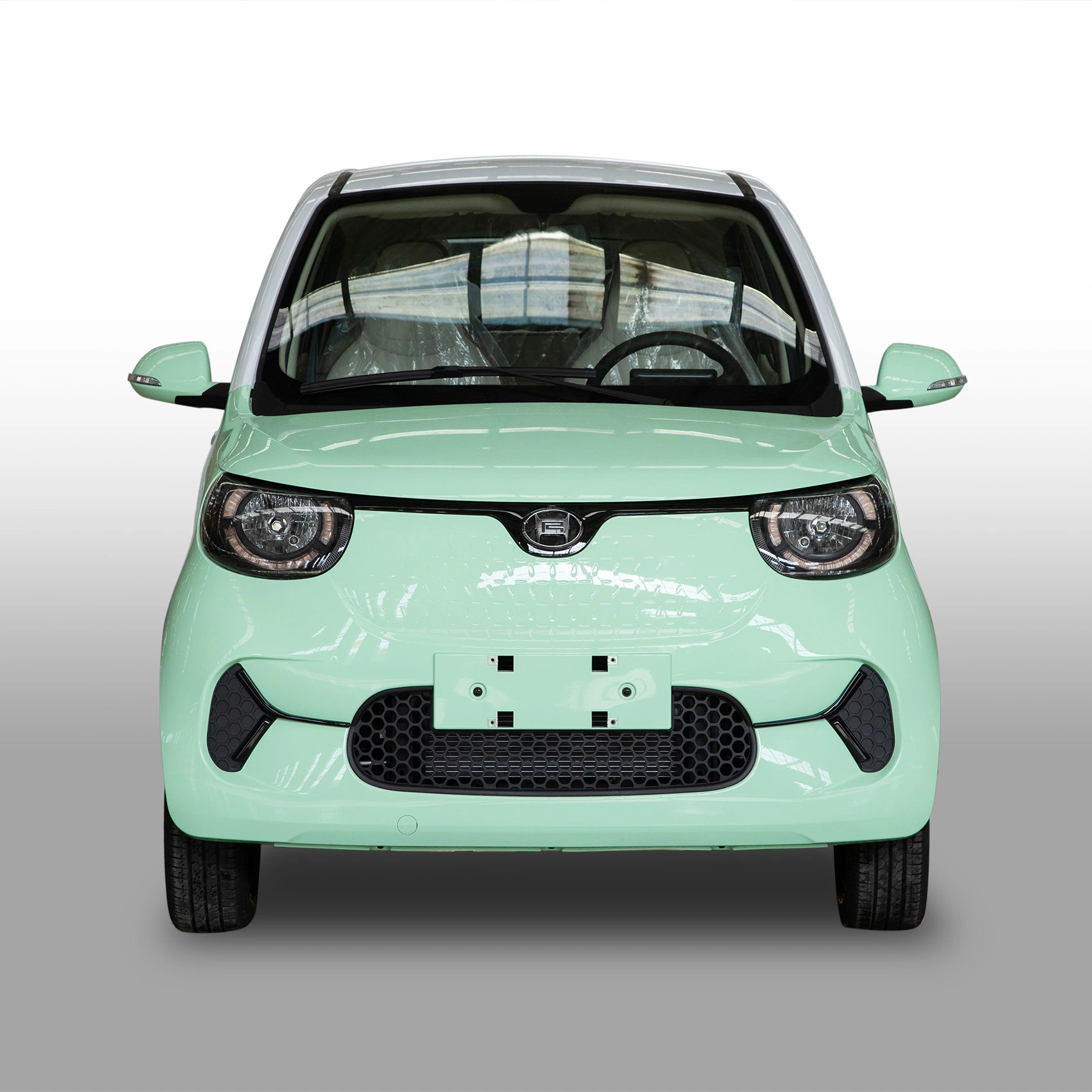 Popular Family Electric Vehicle Electric Car