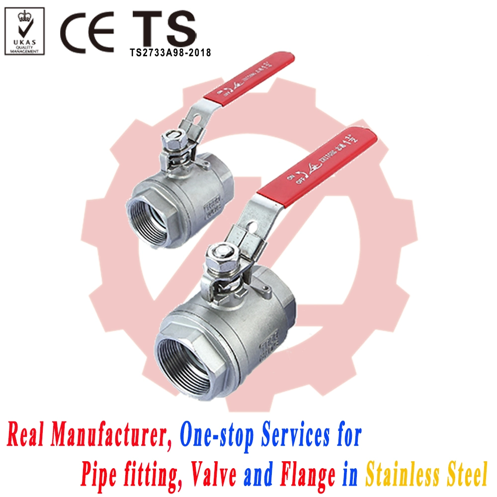 316L Pn10 10bar Swing Check Valve for Fuel Line