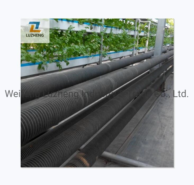 Hot DIP Galvanized Fin Steel Pipe and Tube for Vegetable Greenhouses and Breeding Greenhouses