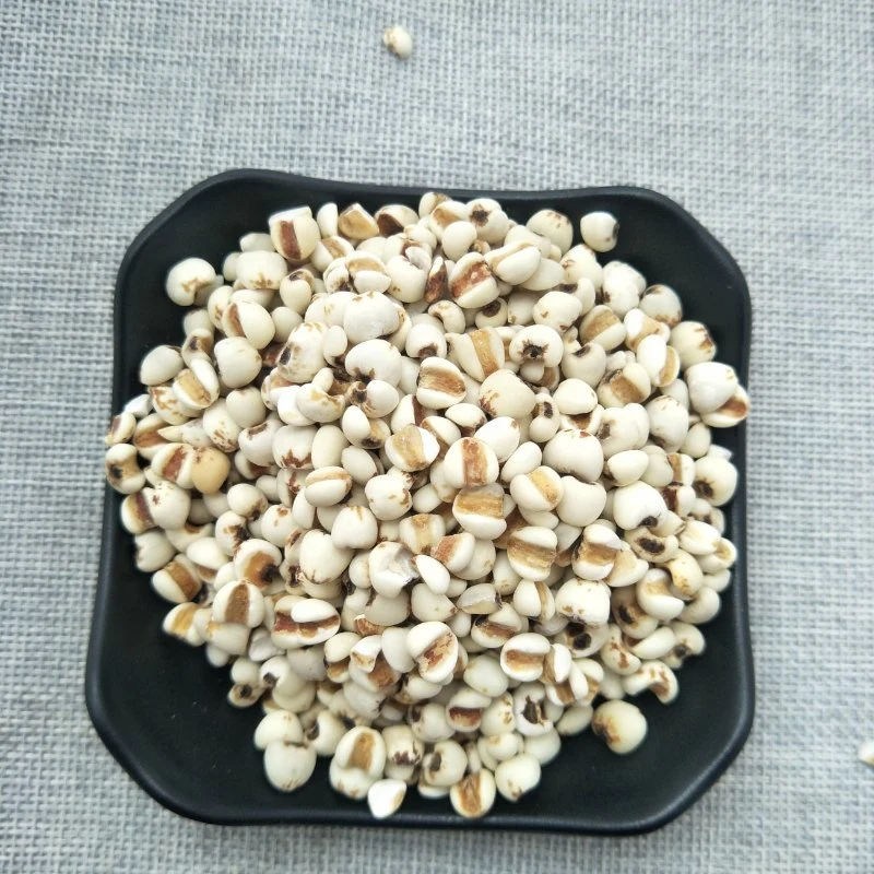 Yi Yi Ren Factory Supply High quality/High cost performance Hot Sale Natural Herbal Medicine Coix Seed for Health