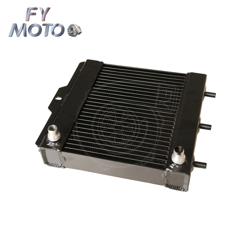 China Manufacture for BMW M3 Black Aluminum Radiator