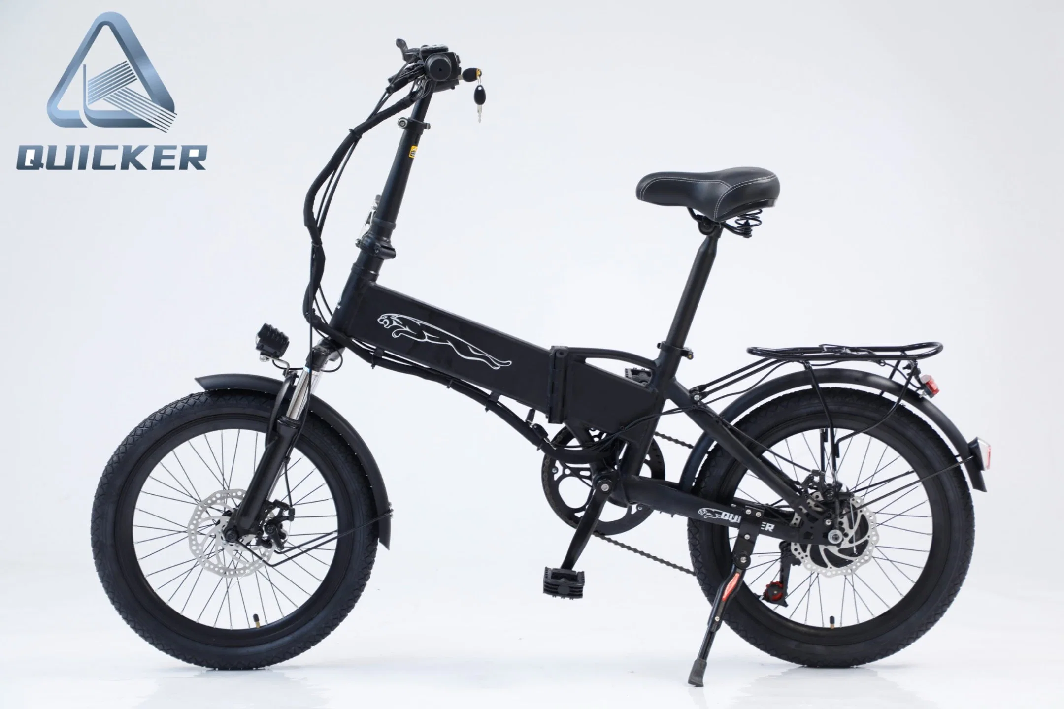 250W 20inch Folding Electric Bike Electric Mini Bike China Supplier
