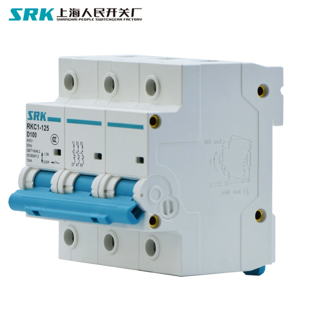 5-Year Warranty CE Flame Retardant 1p 2p 3p 4p 10ka 80A 100A 125A Mini Circuit Breaker