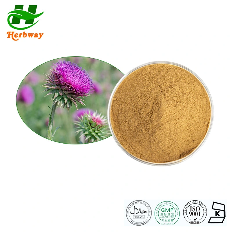 Herbway Kosher Halal Fssc HACCP Certified Wholesale Price Silychristin Milk Thistle Extract for Liver Health