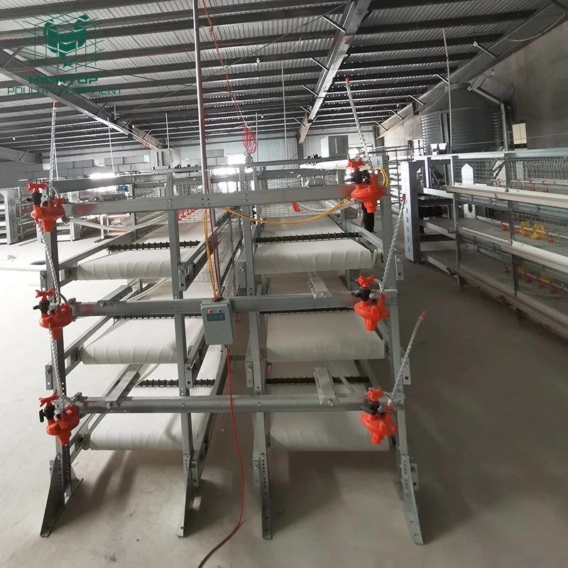 H Frame Battery Cage System for Meat Chicken Broiler Chicken Cage for Sale