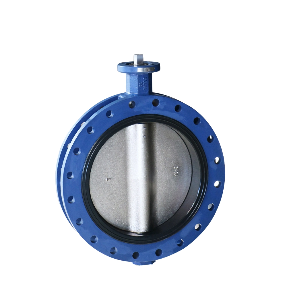 U-Section Type Pin/Pinless Double Flange Butterfly Valve A395/A536 Body and CF8m Disc