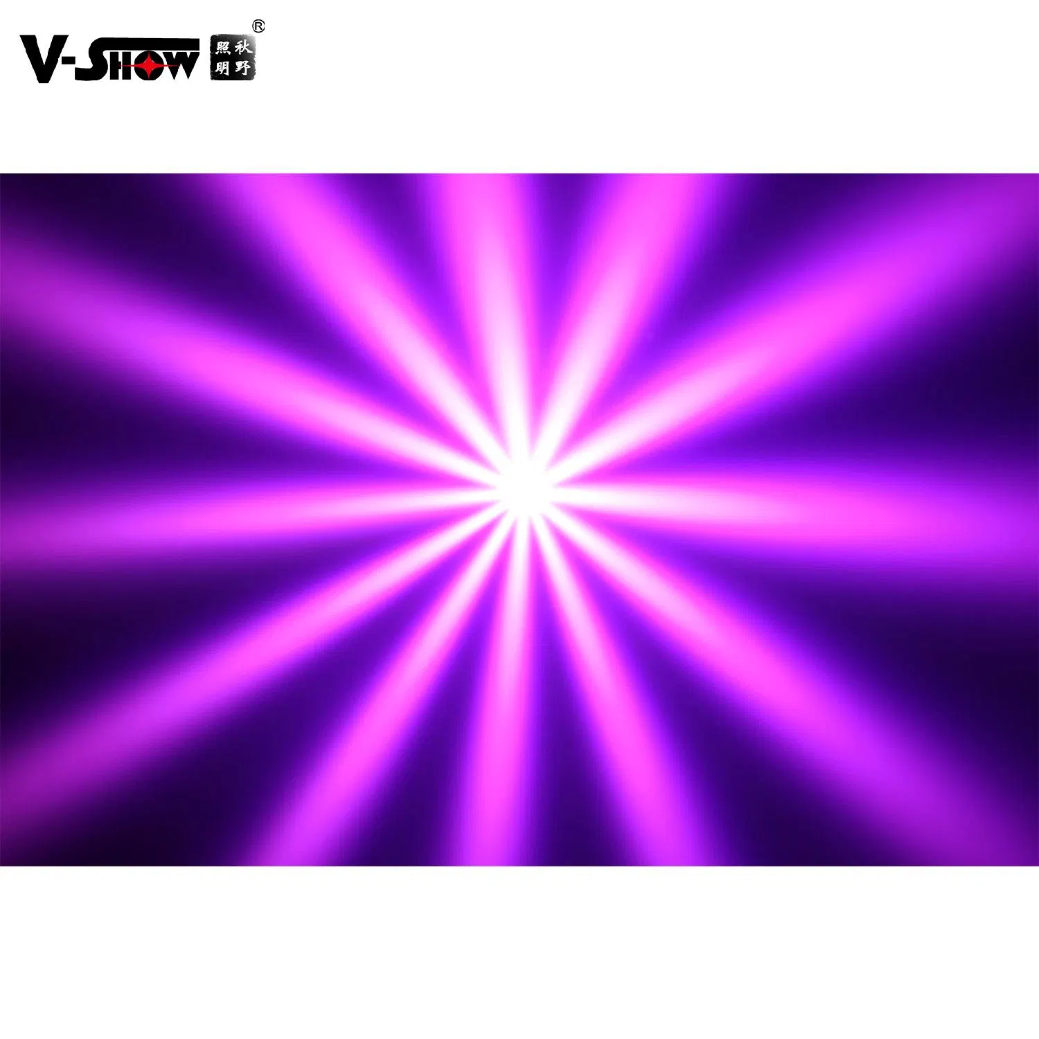 V-Show B230 DJ Light DMX & Rdm Control for DJ Disco