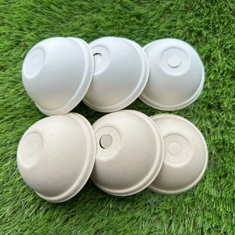 100% Biodegradable Disposable Sugarcane Pulp Arch Cover Can Be Customized