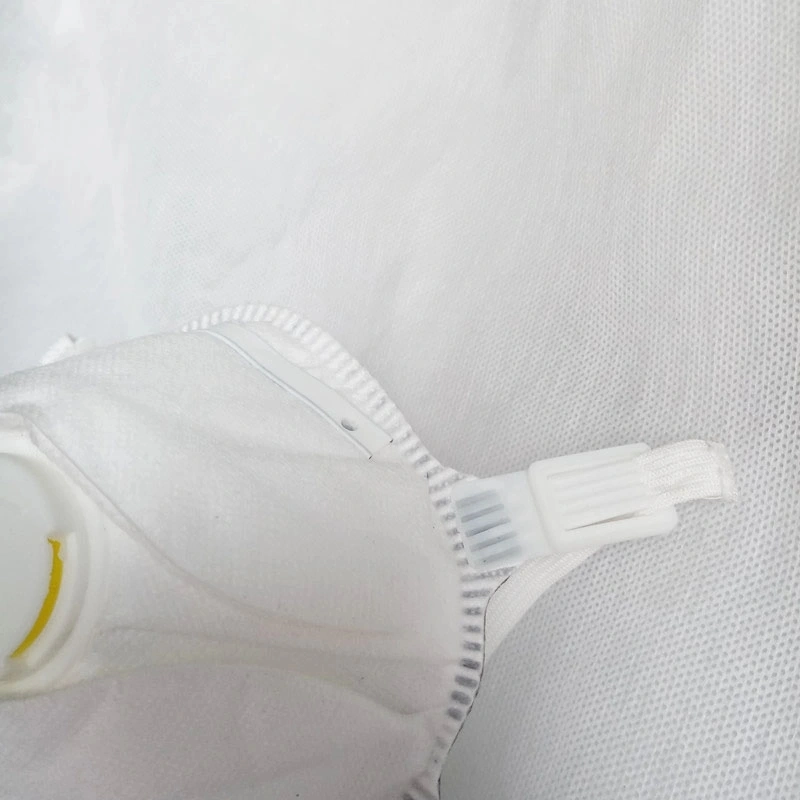 Disposable PPE Respirator Dust Mask with Double Filter