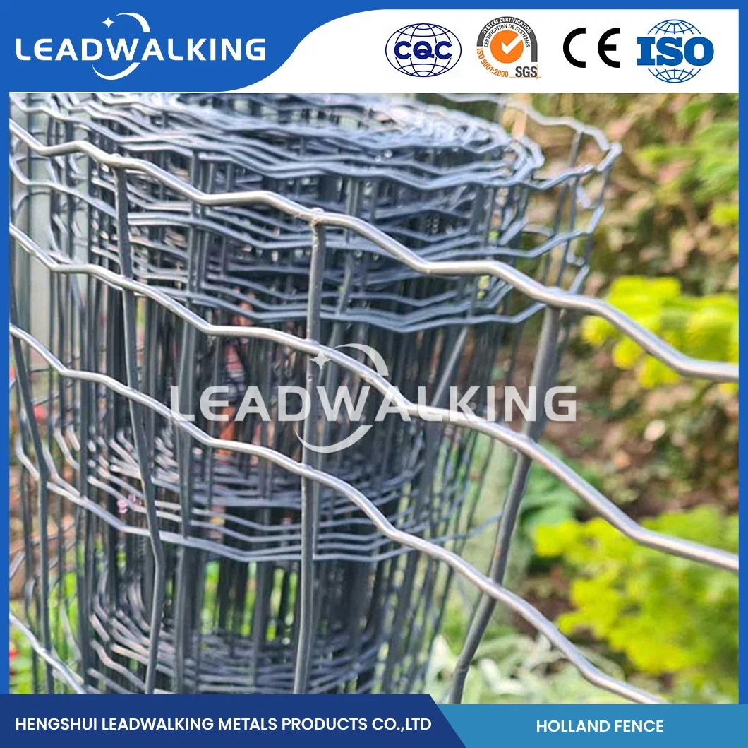 Leadwalking PE Coated Welded Wire Mesh Factory ODM Custom Dutch Welded Wire Fencing China 50.8X76.2mm Mesh Holland Wire Fencing