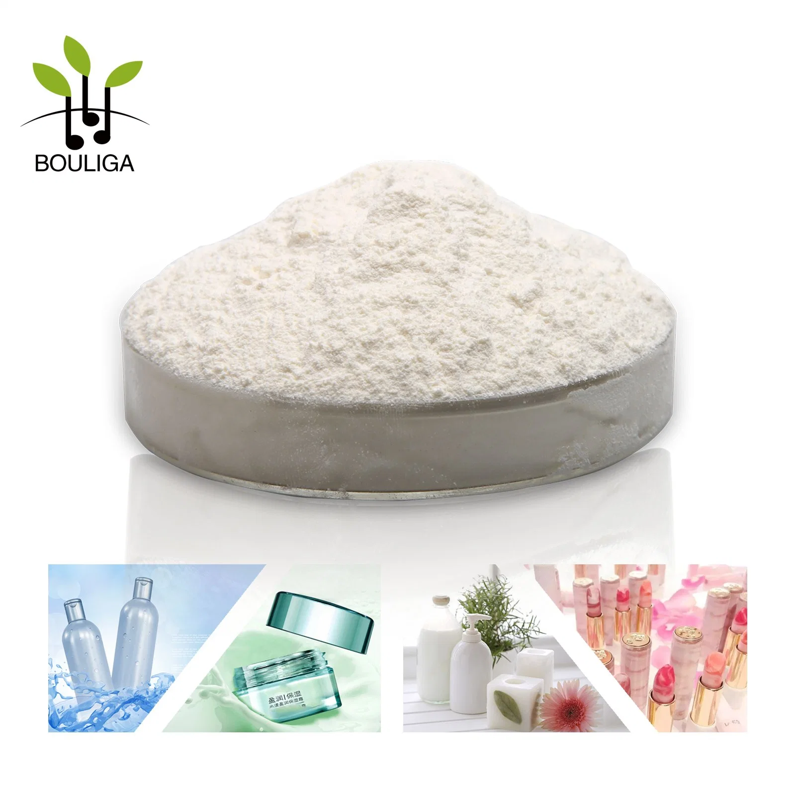 100W Molecular Sodium Hyaluronate Food Grade