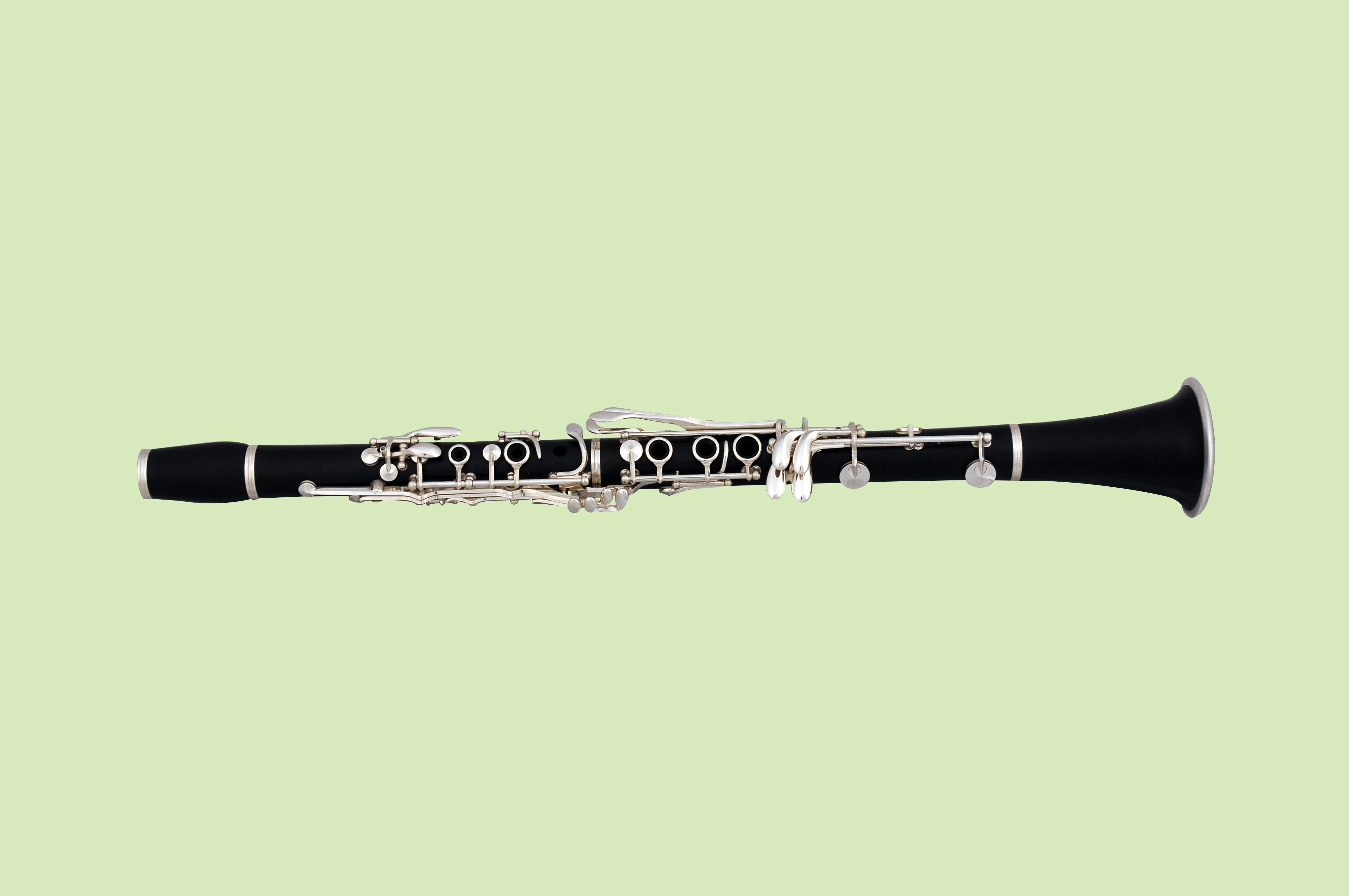 Very Good Beginner Student Clarinet Forest Manufacturer