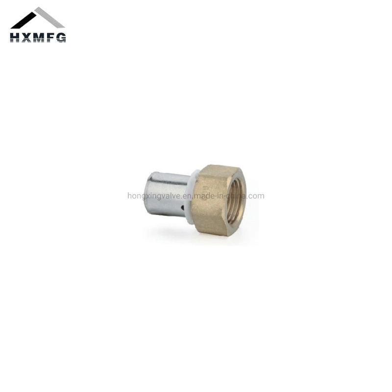 Female Swivel Stainless Steel Straight Brass Pex Press Fitting