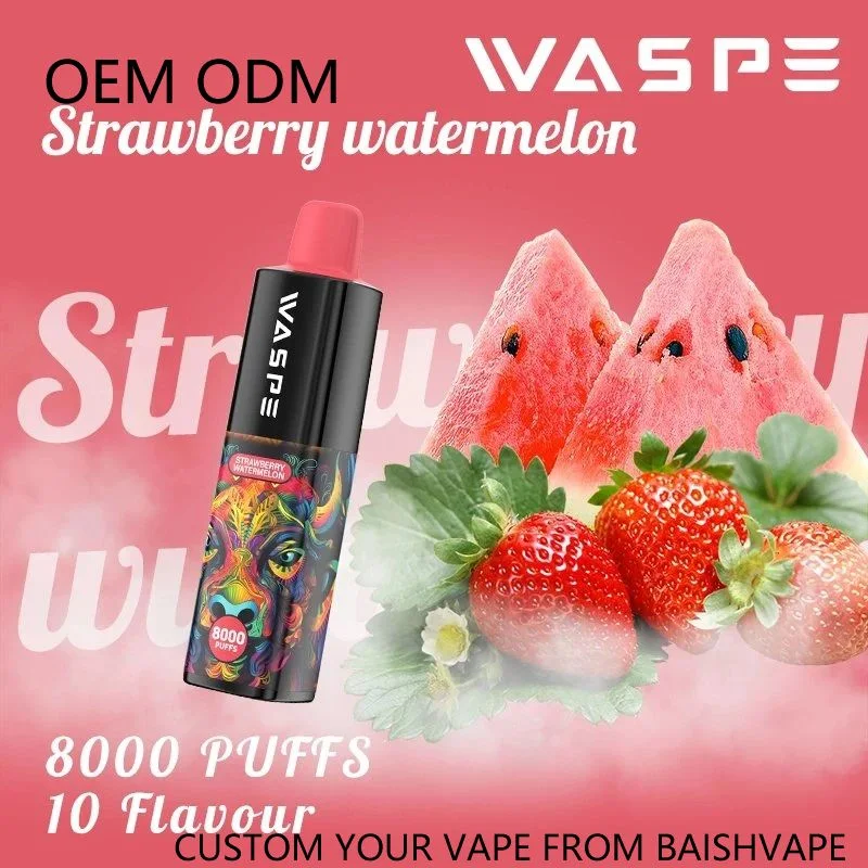 Waspe 8000 Puff Zbood Private label USB C Freemax Charge Type C Infy Wonder G10 Atomizer Disposable/Chargeable Vape