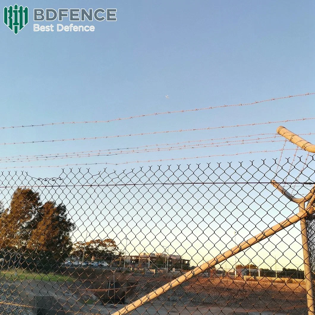 100FT 8FT 8 ft 6 ft Diamond Fence Cyclone galvanisé Maillage filaire