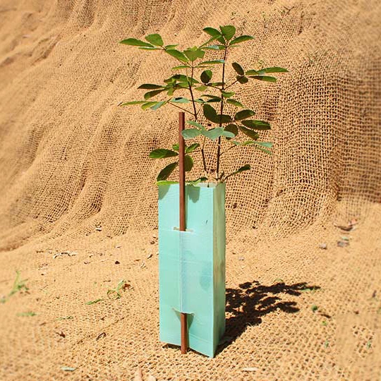 Plastic Tree Guard Plants Protector for Trees Plants Protection From Animals Corrugated Sheet Recyclable Tree Guards Plant Protectors