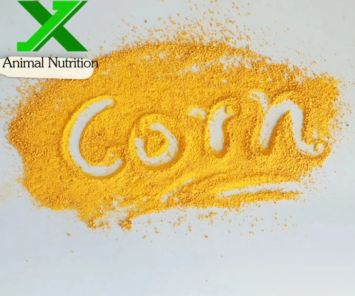 Corn Gluten Meal Promoting Growth for Animal Use Feed Grade