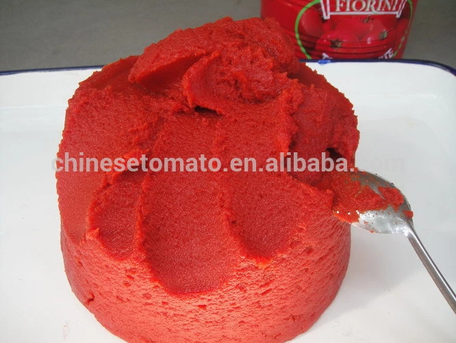 Canned Tomato Paste Concentrated for 400g 800g